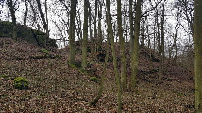 Zřícenina hradu Řebřík